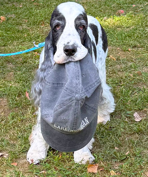 Fletcher dog